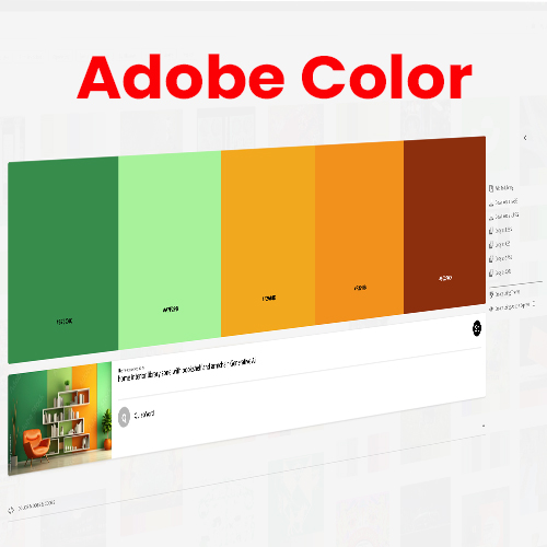 Adobe Color